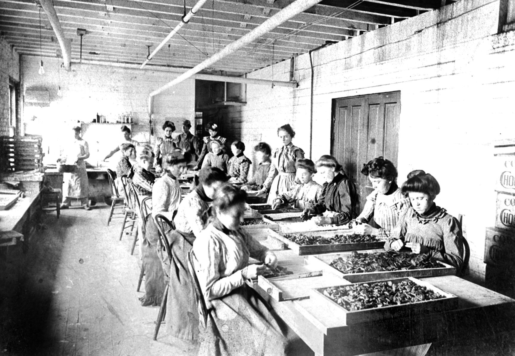 Palmer Candy Co